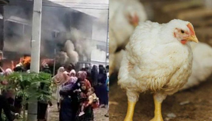 kandang-ayam-dibakar-warga