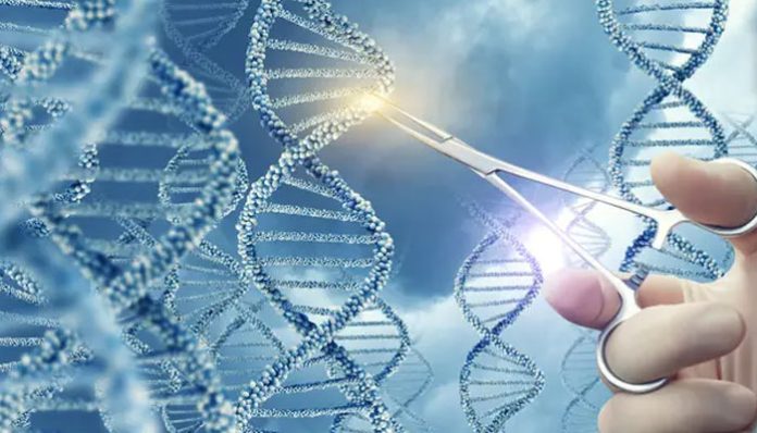 dna