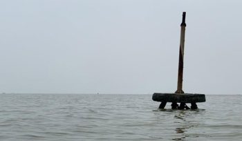 Polda Jawa Timur periksa sejumlah pihak terkait HGB Laut Sidoarjo