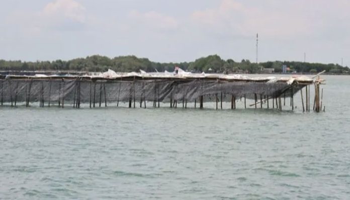 pagar-laut-pulau-cangkir