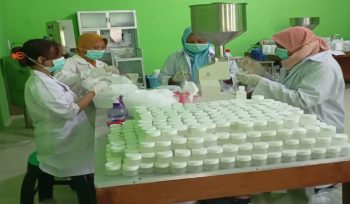 Bumdes Ngestirejo olah rumput laut jadi produk skincare