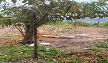 Penampakan sumur misterius ditengah lahan milik Pandu Lokiswara Salam 