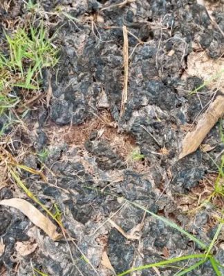 Petani Gunungkidul Keluhkan Limbah Penggilingan Batu Kapur